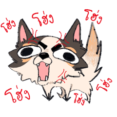 P Joy is enjoying v.2