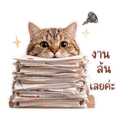 Nong Maew - Working 1000%