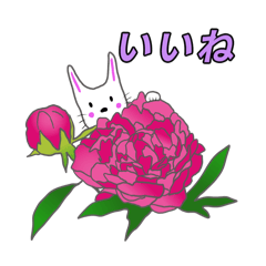 Yaguruma_20260425214834