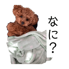YUTO_20260425150045