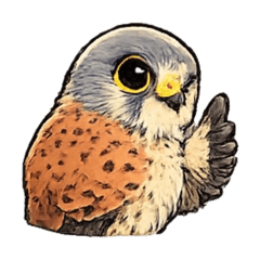 Yamadeus_20260425164712