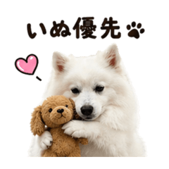 meitom_20260425165548