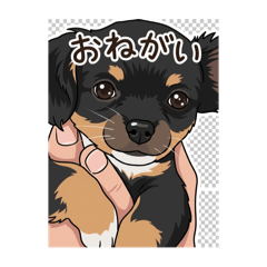 sanchiwawa_20260425172045