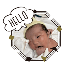 Wakape_20260425170013