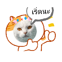 petcharat_20260425161017