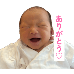 kaho_20260425172351