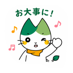 kaz_20260425141534