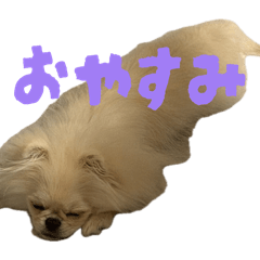 ttsn03_20260425153355