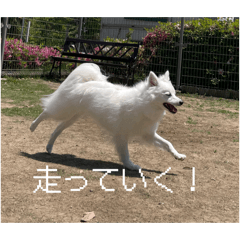 spika_20260425141718