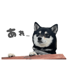 mizuki_20260425153512