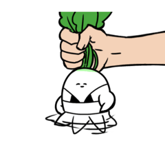 Sallu_20260425142004