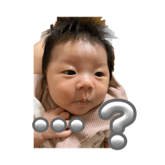 daichi_20260425153842