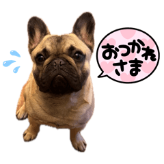 muchicoro_20260425172554