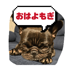 hoyaa_20260425153822