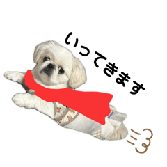 sakichicchi_20260425153533