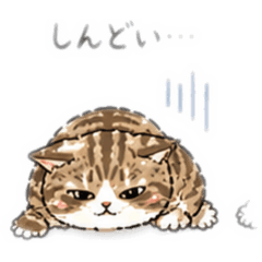 ricotaro1217_20260425173258