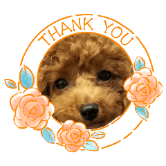 colon_20260425173026