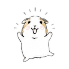 mocchiii_20260425160514