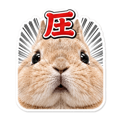 monatan_20260425151729