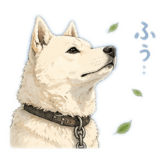 ayaka_20260425182844