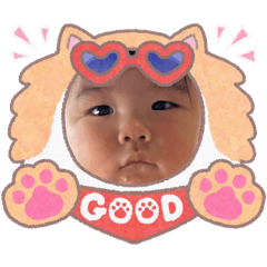 arinko_20260425182529