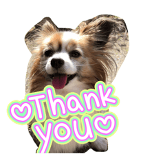 okurin_20260425182927