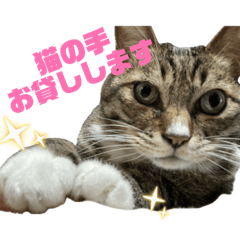 omochi_20260425182931