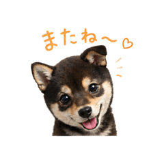 konitan_20260425183612