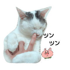 chiiiiii_20260425170636