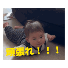 Hikari_20260425175131