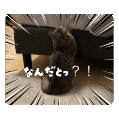 nonoka_20260425202227