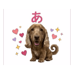 pukupuku_20260425233723