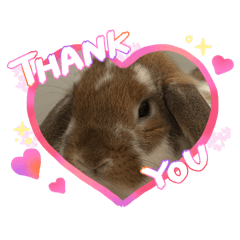 hum-family0321_20260425155118