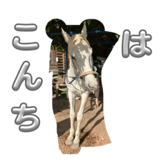 ryoma_20260425154735