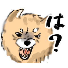 kokoa_20260425155150