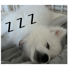 hakuhaku_20260425155050