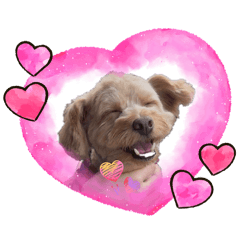 wytona_20260425154729