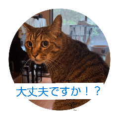 kseri_20260425154802