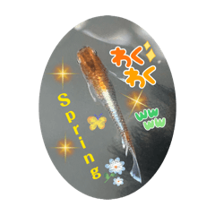 surftripper_20260425155612