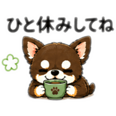 &teruco._20260425160104