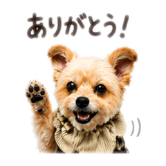 MORIMORI_20260425155338