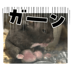 haruto_20260425180927