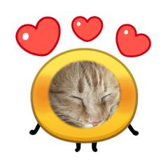 kotume_20260425181202