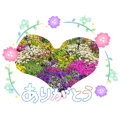 nonko_20260425181446