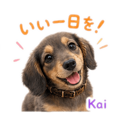 mikio_20260425181931