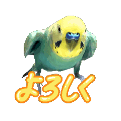 holly_20260426003009