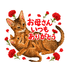 fujiyan8_20260426074503