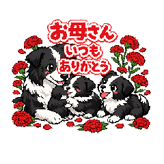 fujiyan8_20260426025058