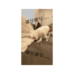 stamp_20260426083226