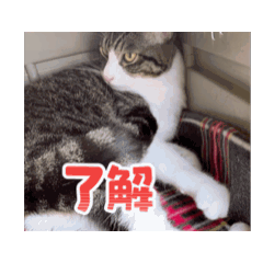 m.m.m.com_20260426085124